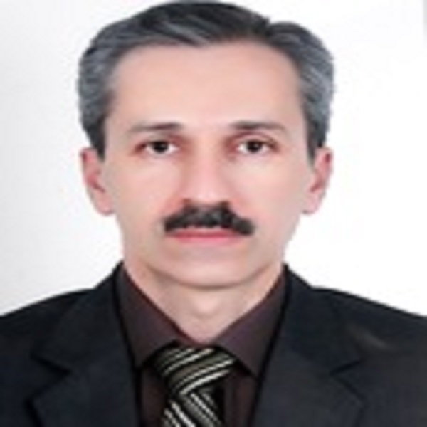 سید مهران برقعی