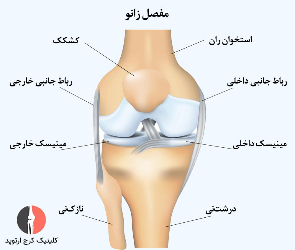 مینیسک زانو چیست؟