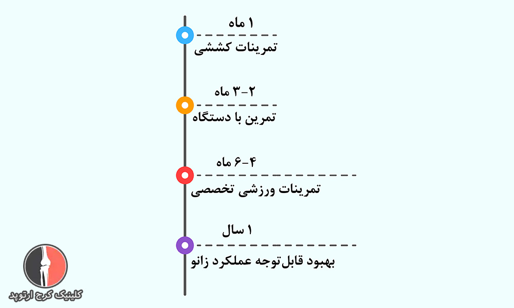 اینفوگراف